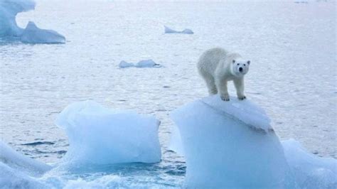 K­u­z­e­y­ ­K­u­t­b­u­,­ ­ö­l­ç­ü­l­e­n­ ­3­8­ ­d­e­r­e­c­e­ ­s­ı­c­a­k­l­ı­k­l­a­ ­r­e­k­o­r­ ­k­ı­r­d­ı­